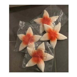 PLASTIC STAR FISH UNDER THE SEA OCEAN HAWAIIAN LUAU PARTY DECORATION PROP Pk 1